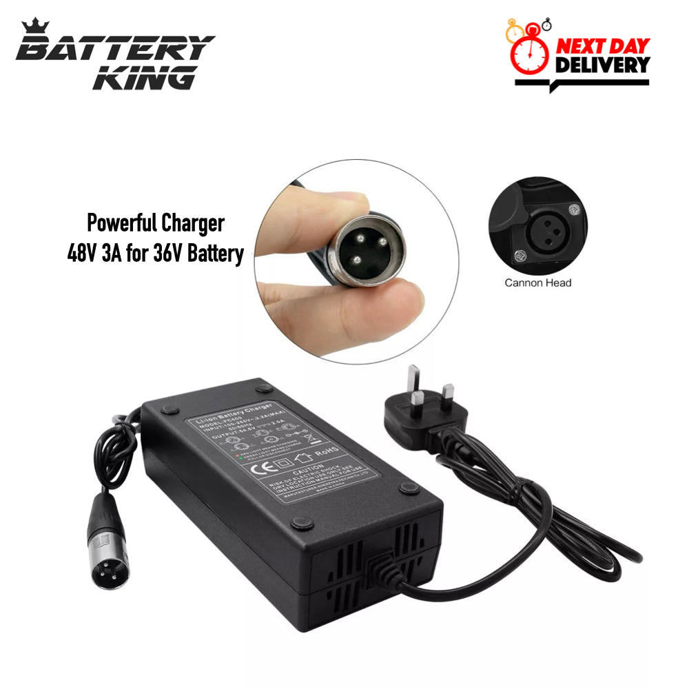 36V 13AH Silver fish E-Bike Battery 750W/4PINS