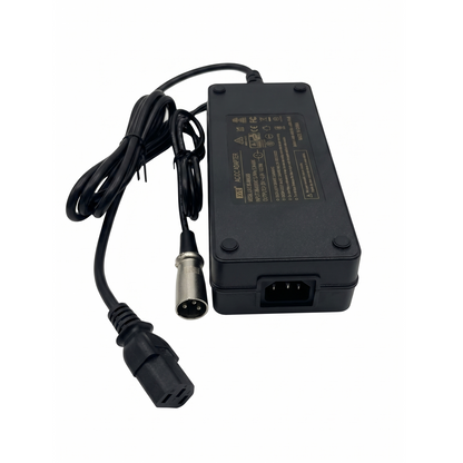 48v-3a-fast-charger-hailong-silverfish-battery-ebike