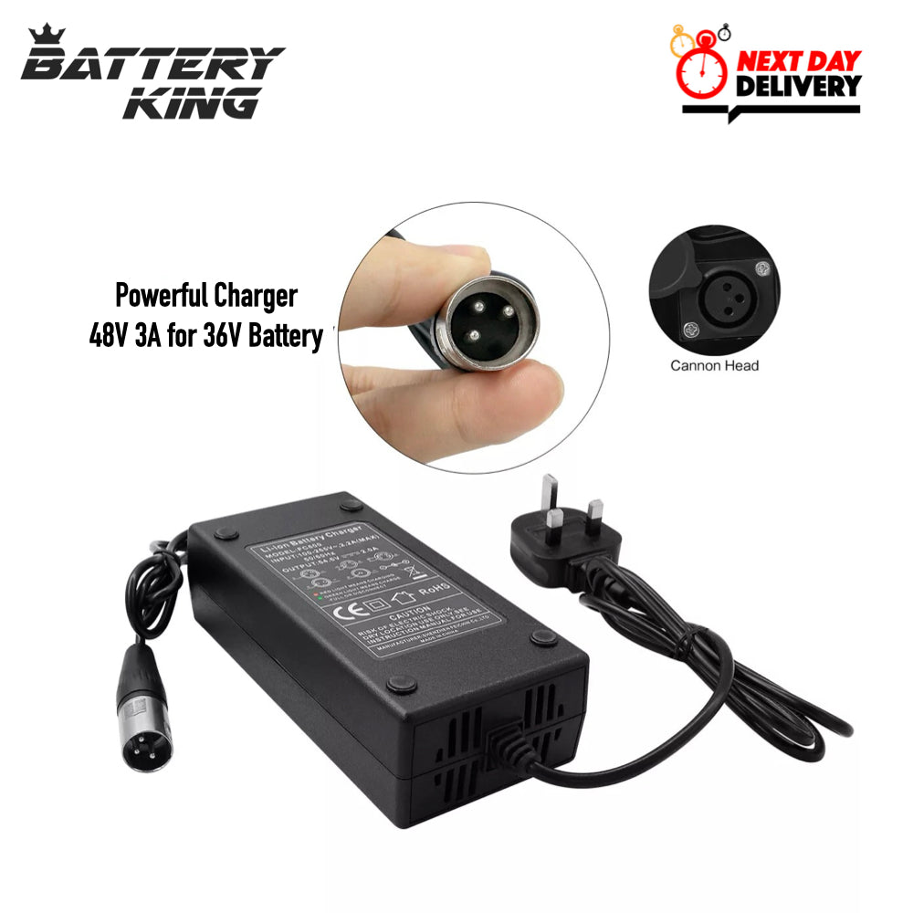 E-Bike Replacement Battery