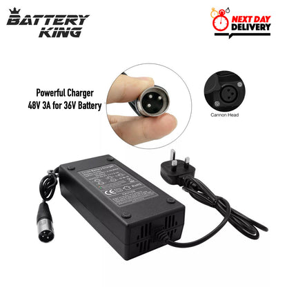 36V 13AH Hailong Downtube E-Bike Battery 750W/5Pins