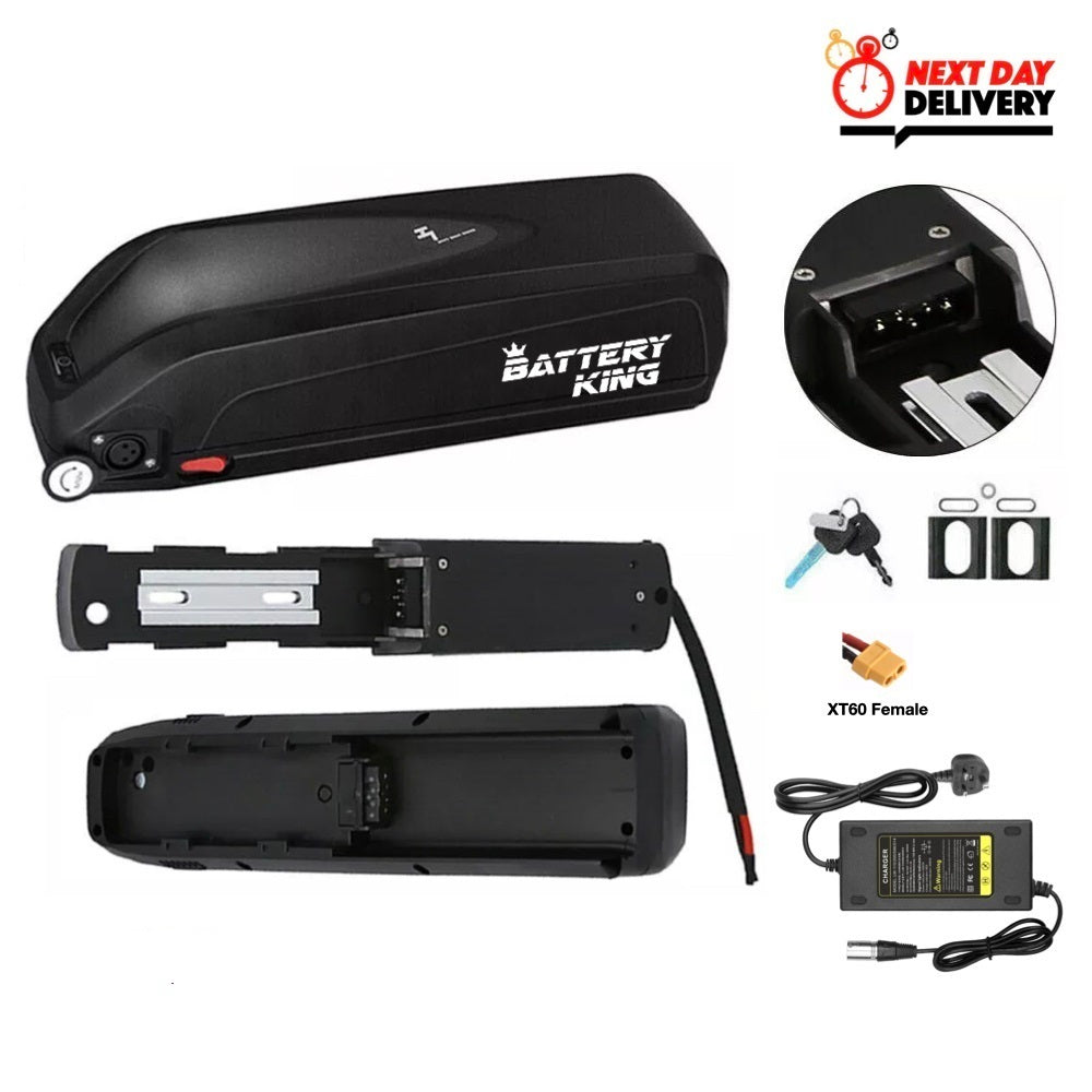 Hailong 48V e bike Battery