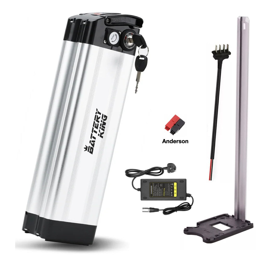 SilverFish E-bike Battery-